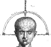 Phrenological Craniometer