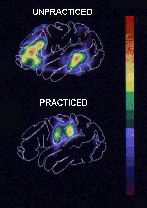 [Marcus Raichle's PET image of training brain]